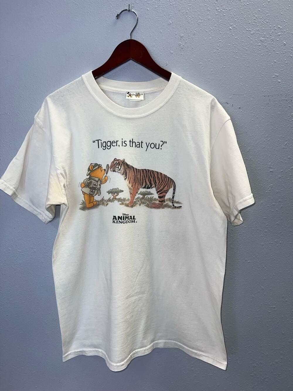 Vintage 90s Disney Animal Kingdom Winnie the Pooh Tigger Tee L 0575